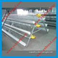 Poultry Farming Equipment for Chicken Layers